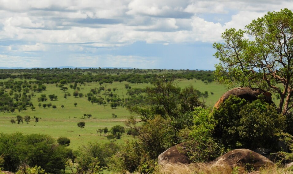 Tanzania