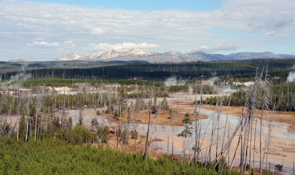 Yellowstone