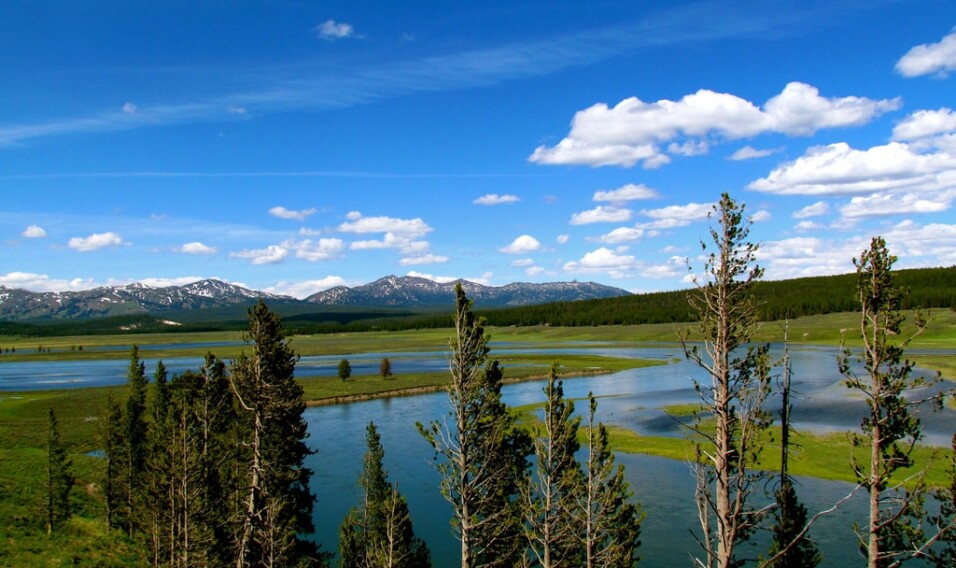 Yellowstone