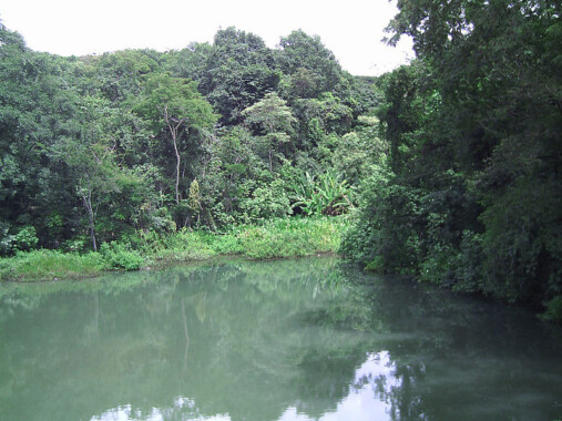 Park Olhos D’Água