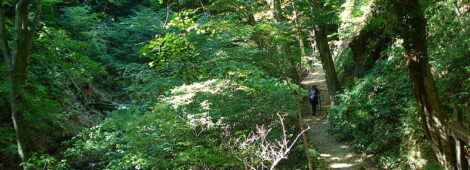 Park Prirode Medvednica