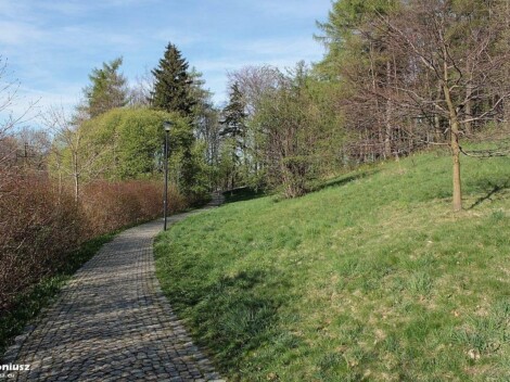 Park Szwedzki w Szczawnie-Zdroju