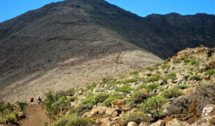 Pico de Jandía