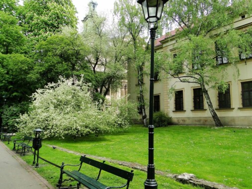 Planty krakowskie