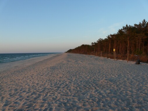 Plaża w Niechorzu