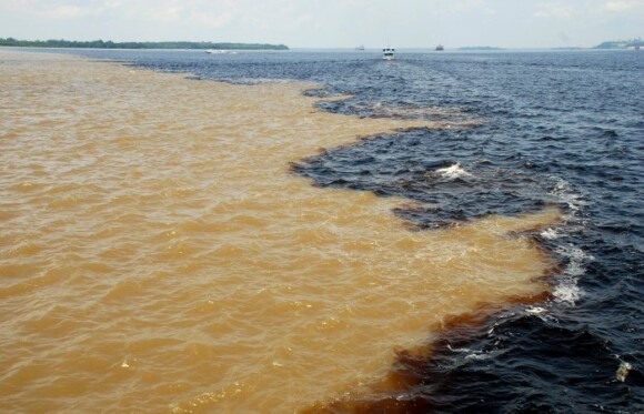 Połączenie rzek Solimões i Rio Negro