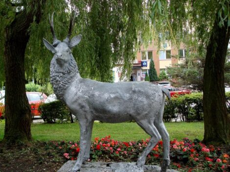 Pomnik Jelenia w Mielnie