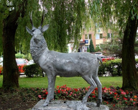 Pomnik Jelenia w Mielnie