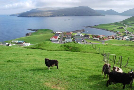 Porkeri – widok w kierunku południowym