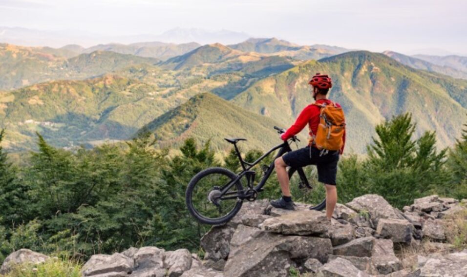 Przewodnik po zakupie roweru górskiego