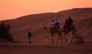 Pustynne safari w Dubaju