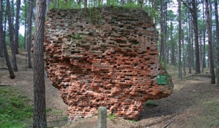 Kościół św. Mikołaja w Łebie