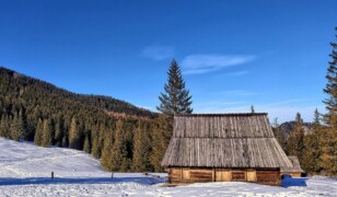 Rusinowa Polana