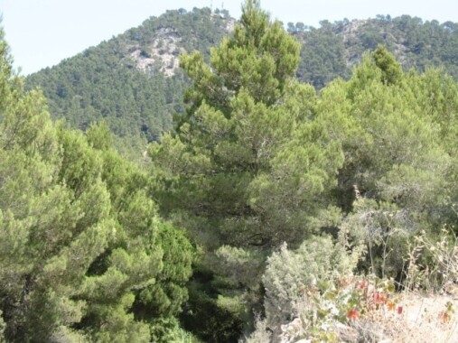 Sa Talaia