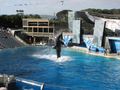 SeaWorld San Diego