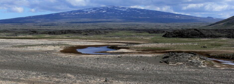 Skjaldbreiður