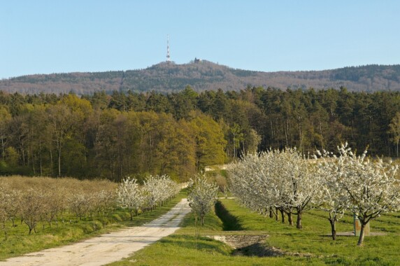 Ślęża