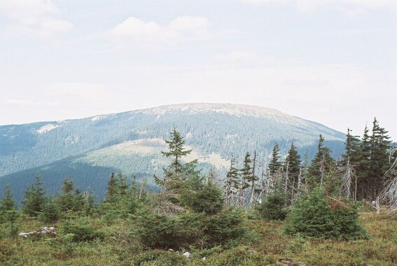 Śnieżnik