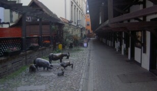 Stare Jatki we Wrocławiu