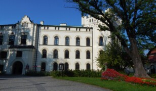 Stary Zamek w Żywcu