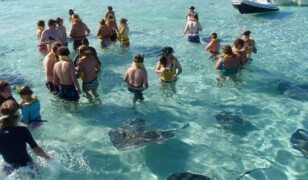 Stingray City