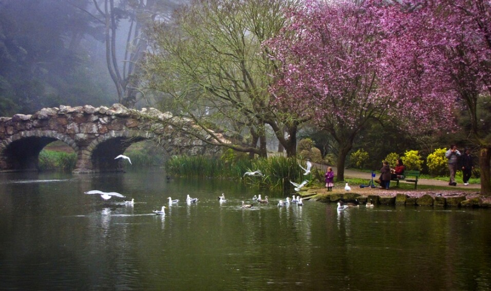 Golden Gate Park