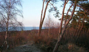 Wielbłądzi Grzbiet