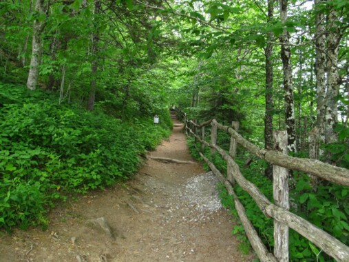 Szlak Appalachów