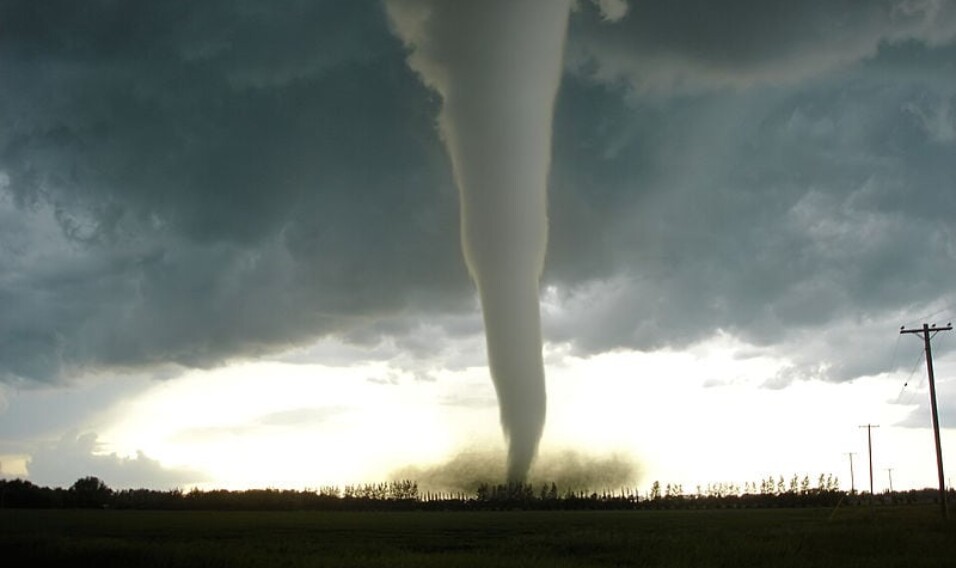 Tornado Safari