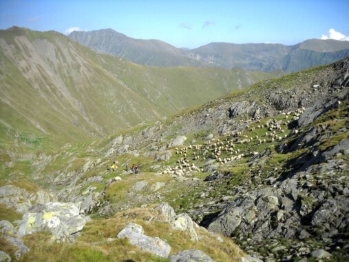 Góry Fogaraskie – w tle szczyt Moldoveanu