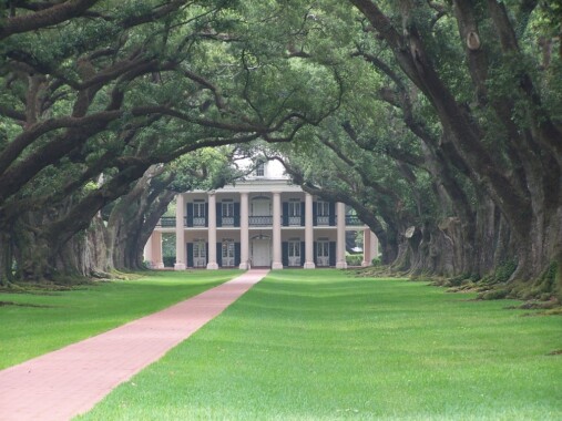 Tunel z dębów na plantacji Oak Alley Plantation