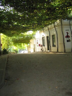 Uliczka w winiarni Gonzaleza Byassa w Jerez