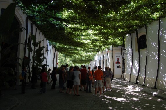 Uliczka w winiarni Gonzaleza Byassa w Jerez