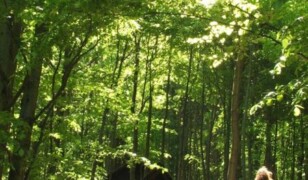 Kopalnia uranu w Kletnie