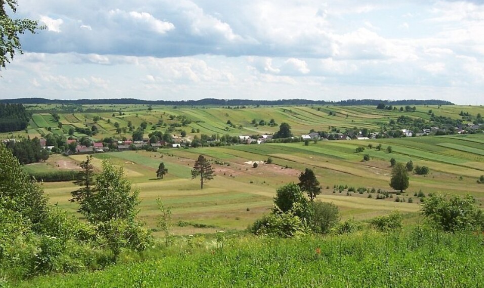 Roztocze