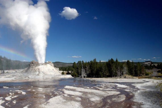 Gejzer w Parku Yellowstone