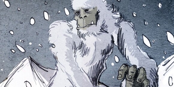yeti