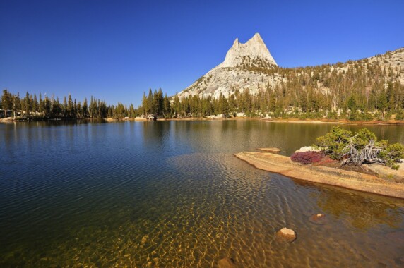 Yosemite National Park