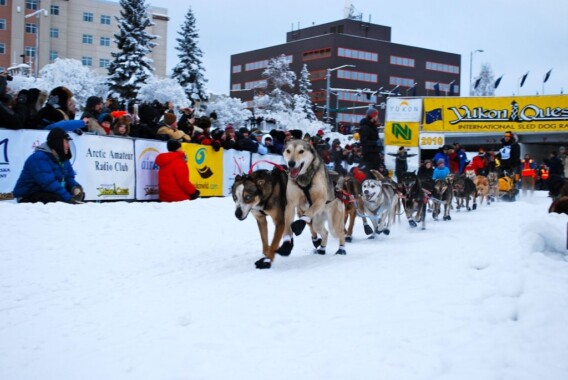 Międzynarodowy wyścig psich zaprzęgów – Yukon Quest