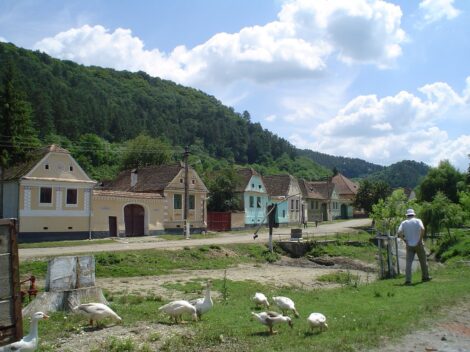 Viscri