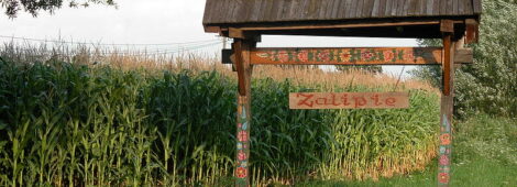 Zalipie (województwo małopolskie)