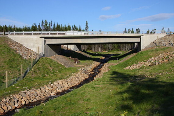 Zielony most dla zwierząt na autostradzie A73 w prowincji Quebec w Kanadzie