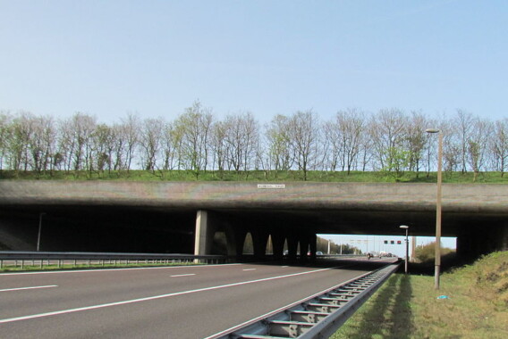 Zielony most nad autostradą A 50 w Arnhem